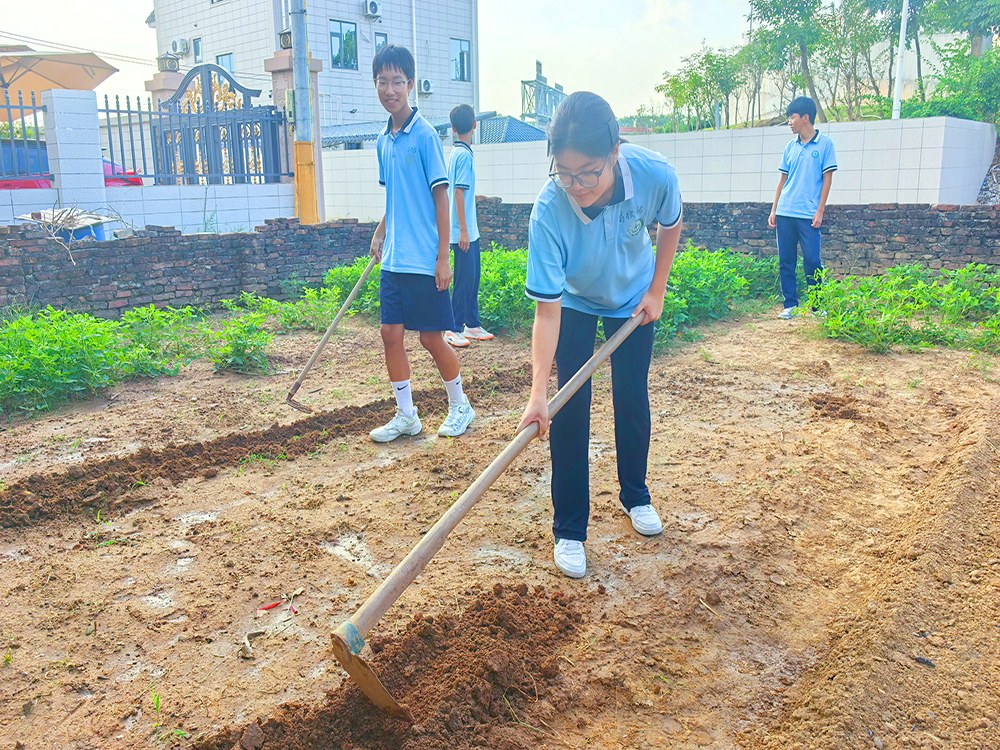 南阳正规叛逆青少年专门教育学校2026家长择校指南